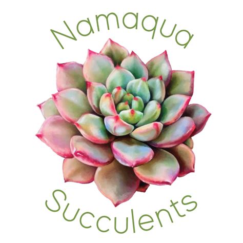 Namaqua Succulents - Home