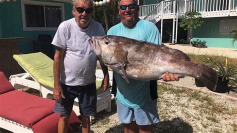 My First big snowy grouper, 600 ft deep dropping - YouTube