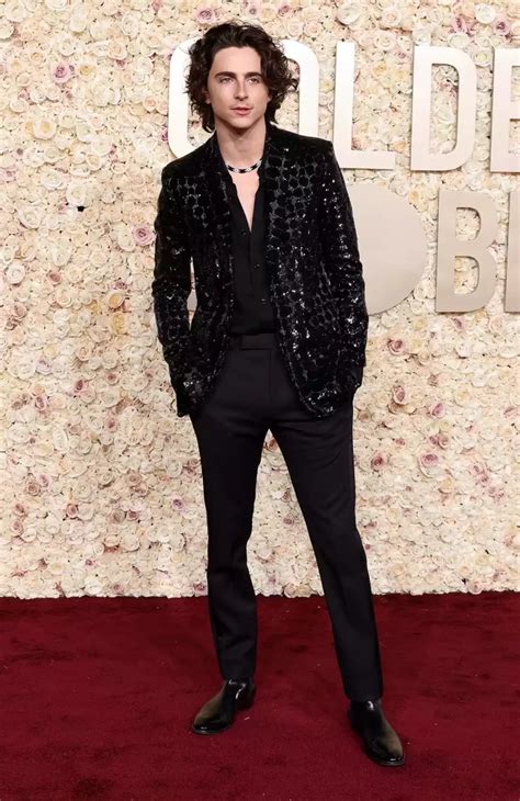 Timothée Chalamet wore Celine Homme by Hedi Slimane @ Golden Globes 2024