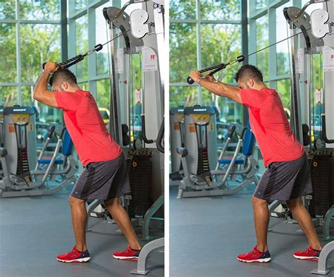 6 Exercises for Stronger Triceps - Go Metaverse Funding