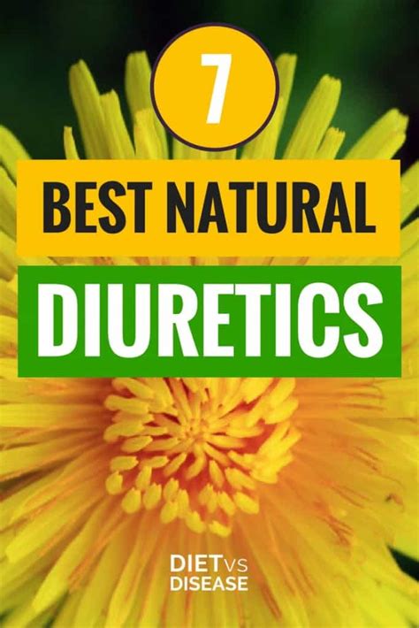 7 Best Natural Diuretics Based on Current Research | Diet vs Disease