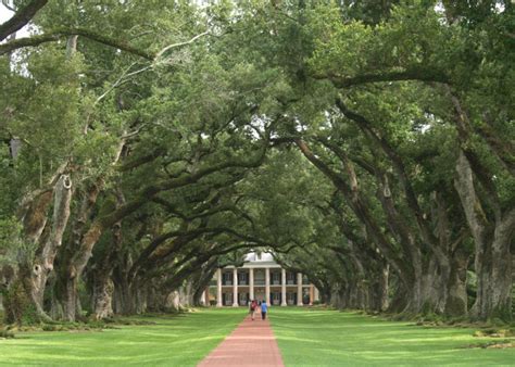 Top 10 Interesting Facts About the Oak Alley Plantation - Discover ...