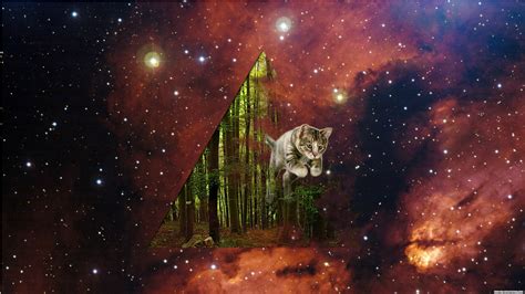 🔥 [100+] Space Cat Wallpapers iPhone | WallpaperSafari