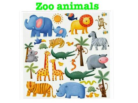 Play Kids-Zoo Animals by CTJ Online - on TinyTap