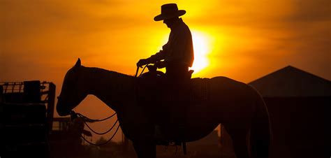 A genre within a genre – the spaghetti western - Beyond Toscano