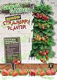 Hanging Strawberry Basket Kit