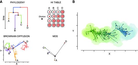 Antigenic cartography meets Brownian phylogenetic diffusion. A ...