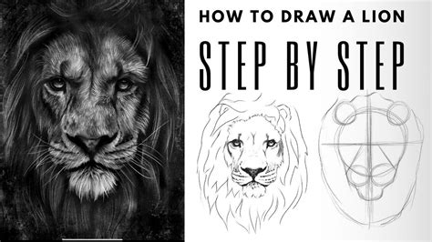 Easy Step by Step Guide for Drawing a Realistic Lion - YouTube