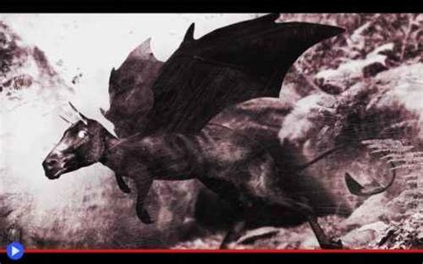 La temibile chimera del New Jersey, diavolo caprino con le ali da pipistrello (Creature)