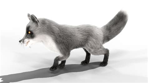 Fur Gray Fox Rigged Model model - TurboSquid 1722732