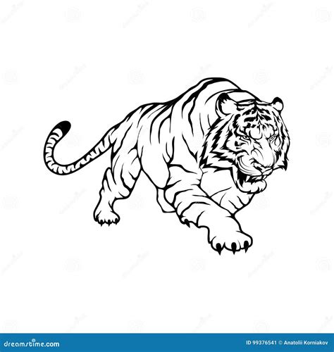 Bengal Tiger Illustration, Drawing, Engraving, Ink, Line Art, Vector ...