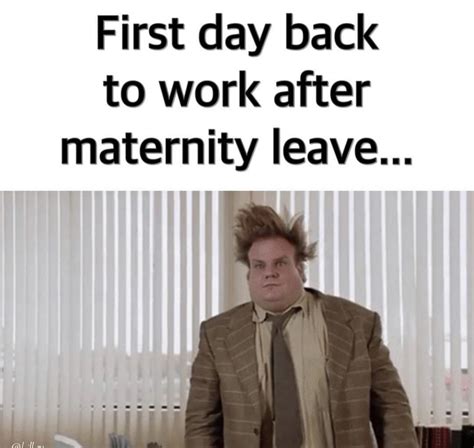 Pin by Mary on Memes | Back to reality quotes, Maternity leave quotes, Back to work