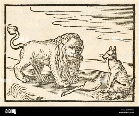 'Le Lion et le renard' fable d'Ésope (vers 600 avant JC). 17e siècle gravure sur bois illustrant ...