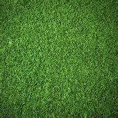 Top View of Green Grass — Stock Photo © nuttakit #4070291