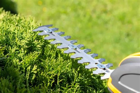 How To Sharpen A Hedge Trimmer | Lawn.com.au