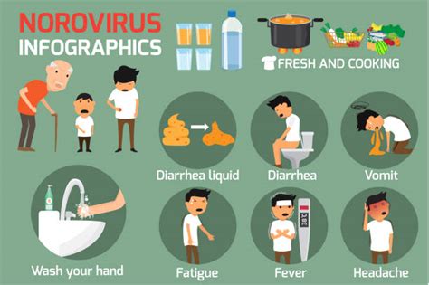 Norovirus Illustrations, Royalty-Free Vector Graphics & Clip Art - iStock