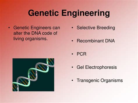 PPT - Genetic Engineering PowerPoint Presentation, free download - ID:671108