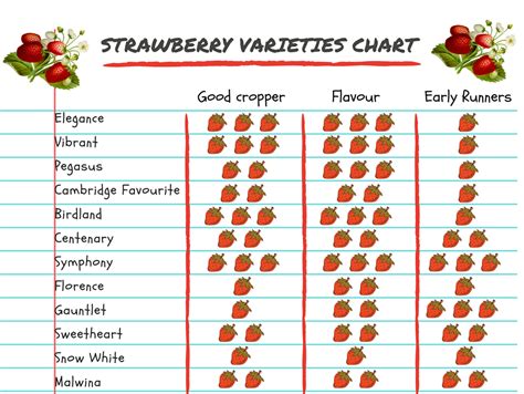 Which Strawberry is the best? 12 Varieties in Quick Review – Gardens for Life