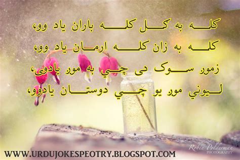 Pashto Poetry Love - Pashto News, Sms, Shayari, Jokes, Songs, Naat, Status