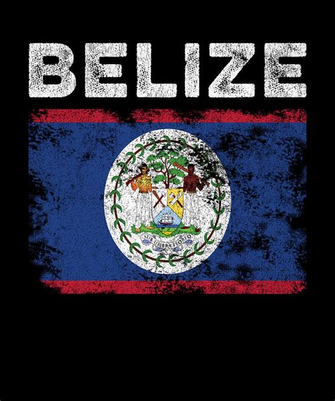 Belize Flag Distressed - Belizean Flag Digital Art by Kasper Holck ...