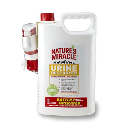 Best remove cat urine smell from carpet vinegar - Kitchen Smarter