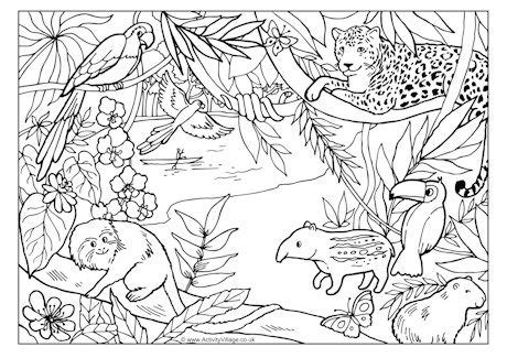 37+ Coloring Pages Rainforest Animals | Free Wallpaper