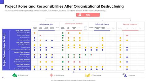 Project Organization Chart Roles