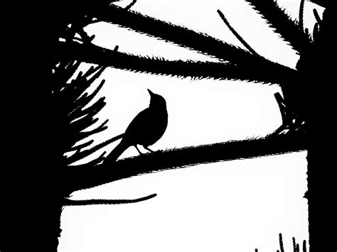 Free Images : silhouette, wing, black and white, eagle, sketch, drawing, illustration, raven ...