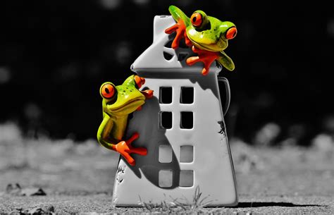Free Images : sweet, cute, decoration, peaceful, frog, amphibian, cheerful, fun, figure, funny ...