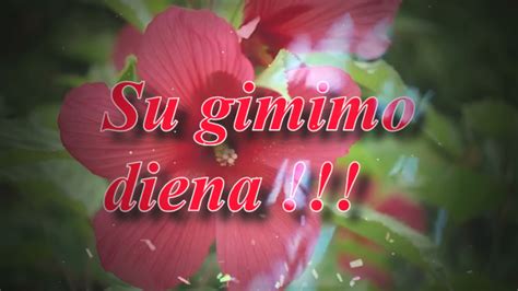 Su gimimo diena !!! - YouTube