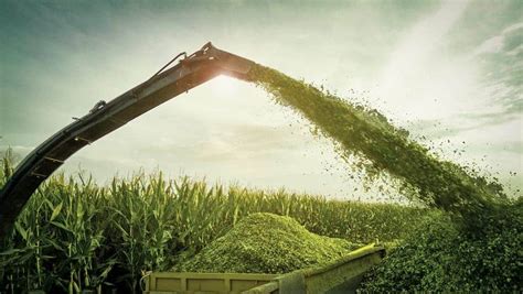 Silage » Steps for Silage Preparation » Making of Silage Process