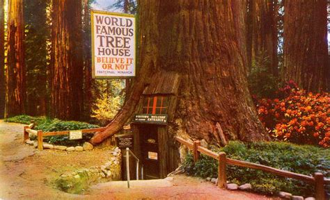 Kitschy Roadside Tourist Attractions in the California Redwoods - WanderWisdom