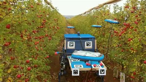 A futuristic farming tool - A flying fruit picking robot that is saving time for humans. #agtech ...