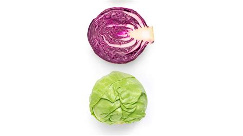 Is Red Cabbage More Nutritious Than Green Cabbage?