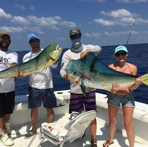 Islamorada Fishing Spots From Shore Fishing: The Complete Guide (updated 2022) - Unoisy Fishing