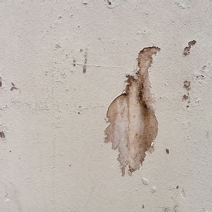 How to remove wall marks and stains | Merry Maids