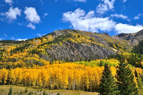 Red Mountain Pass Fall Colors Photograph by Ray Mathis - Fine Art America