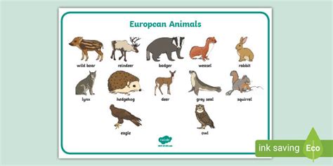 European Animals Word Mat