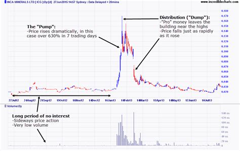 Example Why PUMP and DUMP Strategy is Riskier Than You Think – Cryptovibes.com – Daily ...