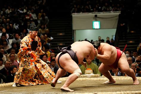 Sumo | Virtual Culture | Kids Web Japan | Web Japan