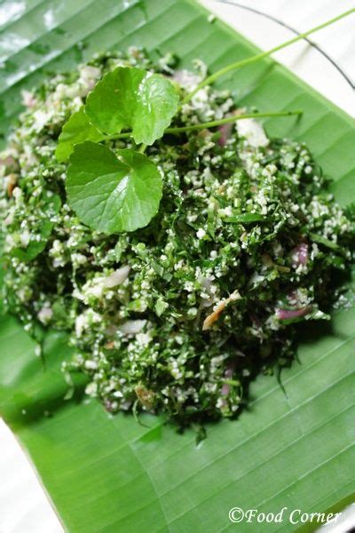 Food Corner: Gotu Kola Sambola/Gotu Kola Salad | Sri lankan recipes, Sri lankan, Herbs