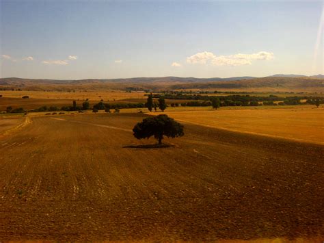 File:Meseta Central.jpg