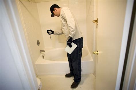 How Much Does Mold Inspection Cost? | Sapling.com