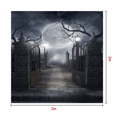 Kate Halloween fabric Backdrop for photography Haunted house