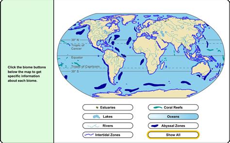 Aquatic Biomes Chart