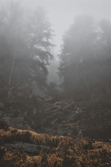 HD wallpaper: black foggy mountain during daytime, autumn, landscape, fall | Wallpaper Flare