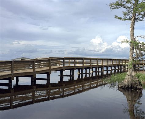 Lake Waccamaw State Park - Parks Guidance