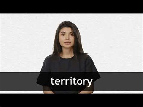 TERRITORY definition and meaning | Collins English Dictionary