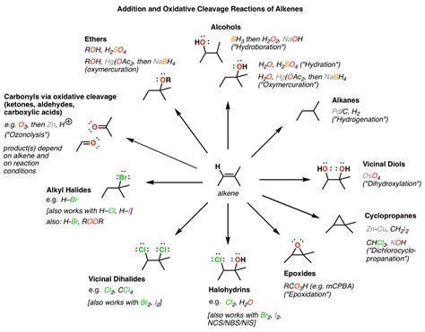 An Overview of Alkene Chemistry. Alkenes - Structure & Reactivity | by ...