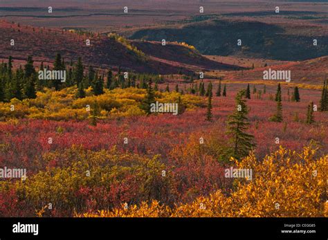 Tundra landscape alaska hi-res stock photography and images - Alamy